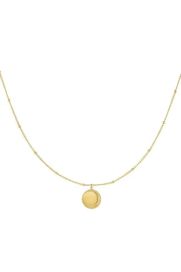 Ketting dubbele ronde coin goud