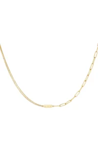 Roestvrijstalen ketting met dubbele ketting en bedel Goud Stainless Steel